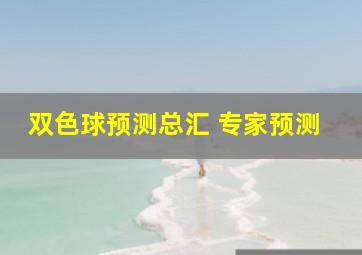 双色球预测总汇 专家预测